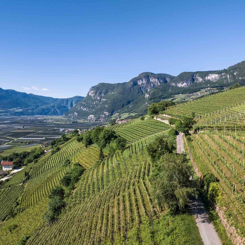 Brenntal | Frauenriegel