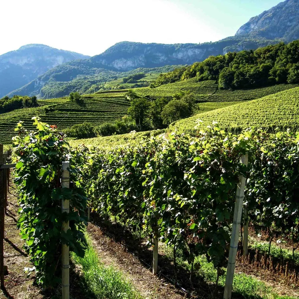 Breitbach | Gruben | Milla