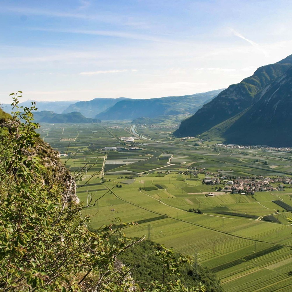 Margreid | Punggl | Kurtinig