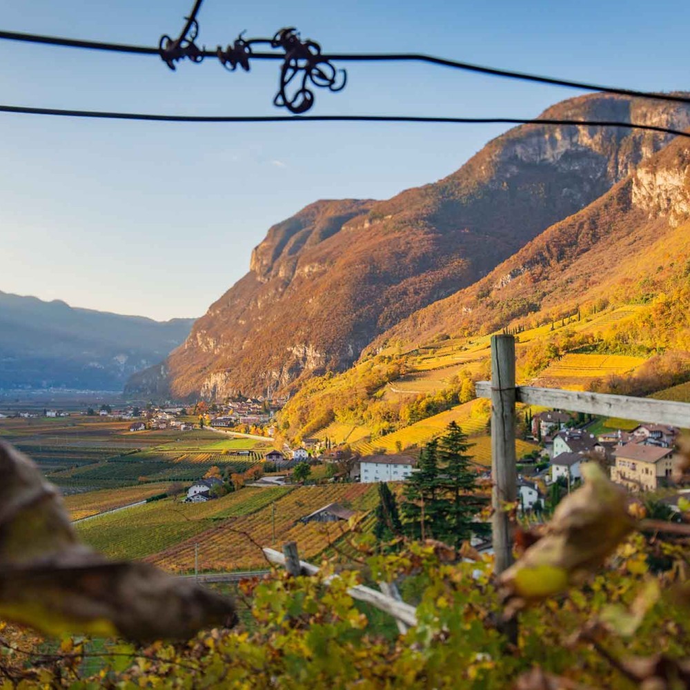 Entiklar | Margreider Leiten