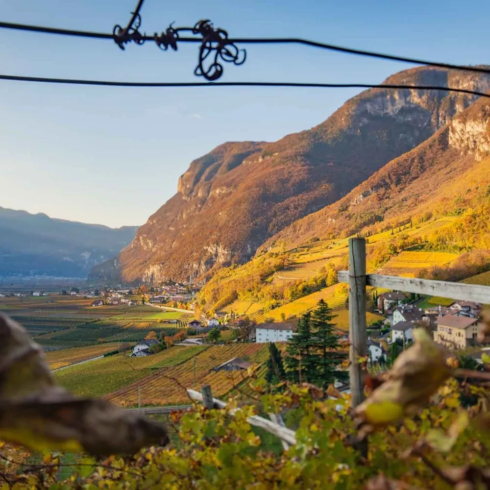 Niclara | Leiten di Magrè