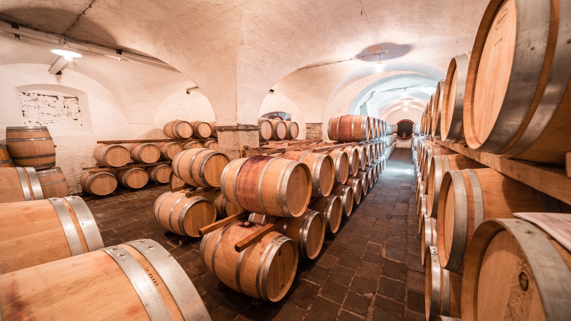 ▷ Our wine cellar - Tradition meets innovation | Weingut Tiefenbrunner |  Schlosskellerei Turmhof in Entiklar | Kurtatsch, Bozen (Südtirol)