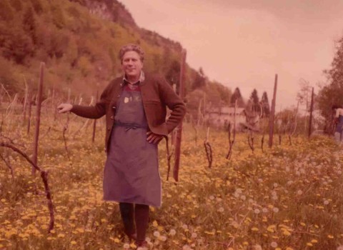 Neuanlage Müller-Thurgau_Fennberg_1.000m Meereshöhe_Herbert Tiefenbrunner Neuanlage Müller-Thurgau_Fennberg_1.000m Meereshöhe_Herbert Tiefenbrunner