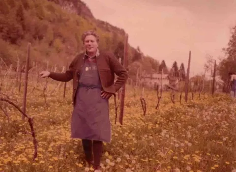 Neuanlage Müller-Thurgau_Fennberg_1.000m Meereshöhe_Herbert Tiefenbrunner