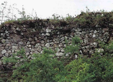 Mauerruine der Burganlage "Castrum Linticlar" Mauerruine der Burganlage "Castrum Linticlar"