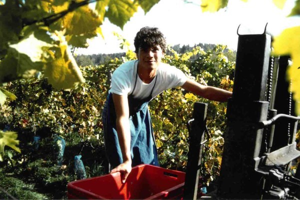 Christof Tiefenbrunner_Vendemmia_1983 Christof Tiefenbrunner_Vendemmia_1983