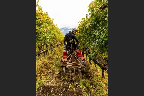 Arieggiamento del terreno