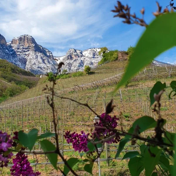 Toren Burgruinenhügel