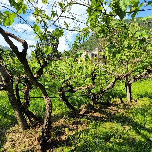 Stubengüter Pergola 