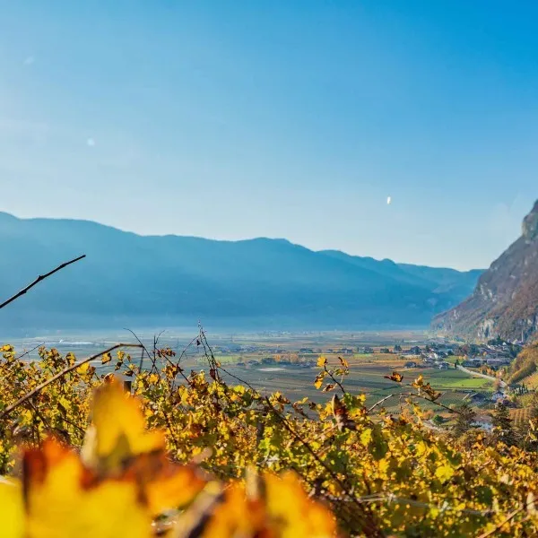 Magrè-Cortina s.S.d.V.