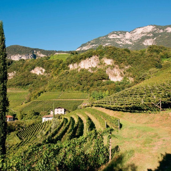 AU Weinberg AU Weinberg