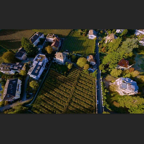 Stübengüter Stübengüter