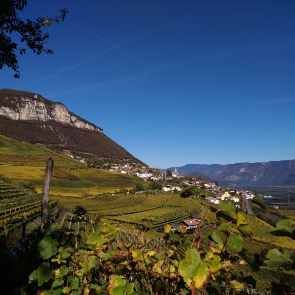 Gruben/Breitbach Gruben/Breitbach