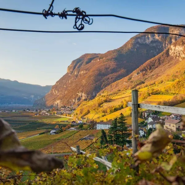 Entiklar | Margreider Leiten