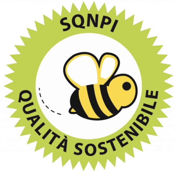 logo Sqnpi qualita sostenibile